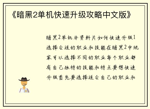 《暗黑2单机快速升级攻略中文版》