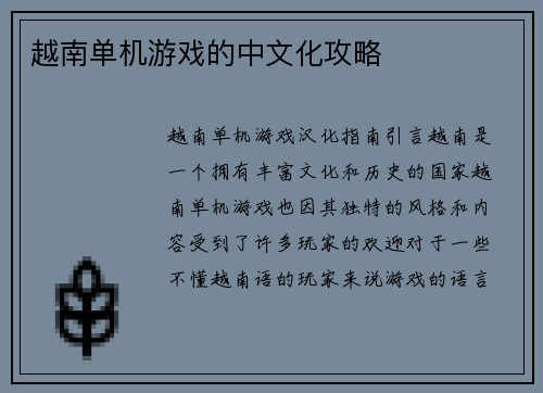 越南单机游戏的中文化攻略